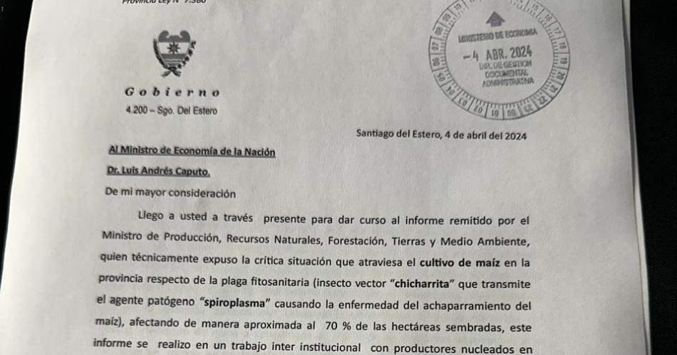 El Gobierno de Santiago solicita créditos especiales a Nación para productores de maíz ante el avance de una plaga fitosanitaria.