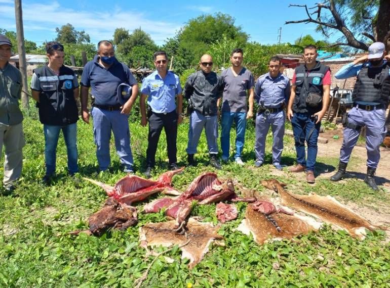 Sáenz Peña: Mataron a palazos ciervos del zoo y los carnearon para asarlos