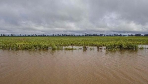 Pequeños productores fueron los más afectados por las lluvias