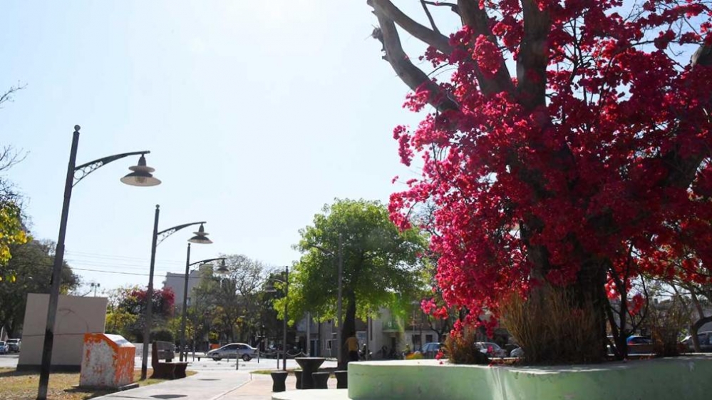 El calor se hará sentir nuevamente en Santiago del Estero en un jueves con 37ºC de máxima