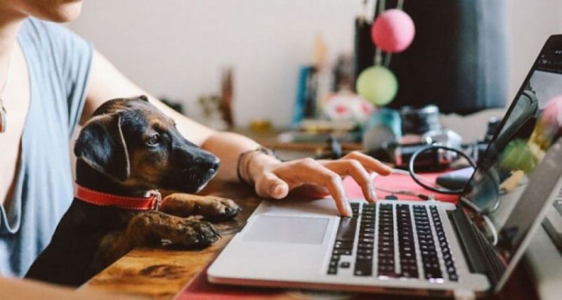 El futuro del home office: estrategias para poder prepararnos