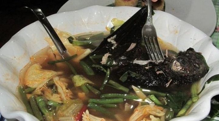 La sopa de murciélago, el posible origen del coronavirus