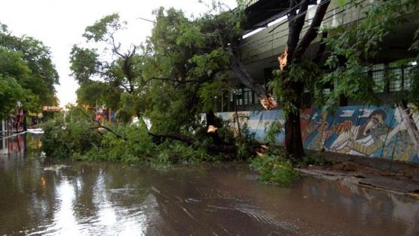 La tormenta provocó destrozos y unas 15 familias quedaron sin techo