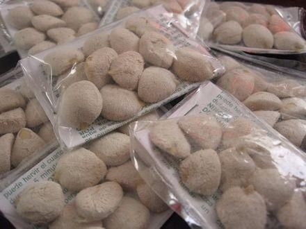 Murió una mujer tras comer “nuez de la India” para bajar de peso