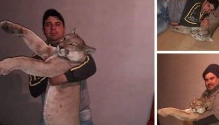 Indignación por fotos de sujetos posando con un puma muerto