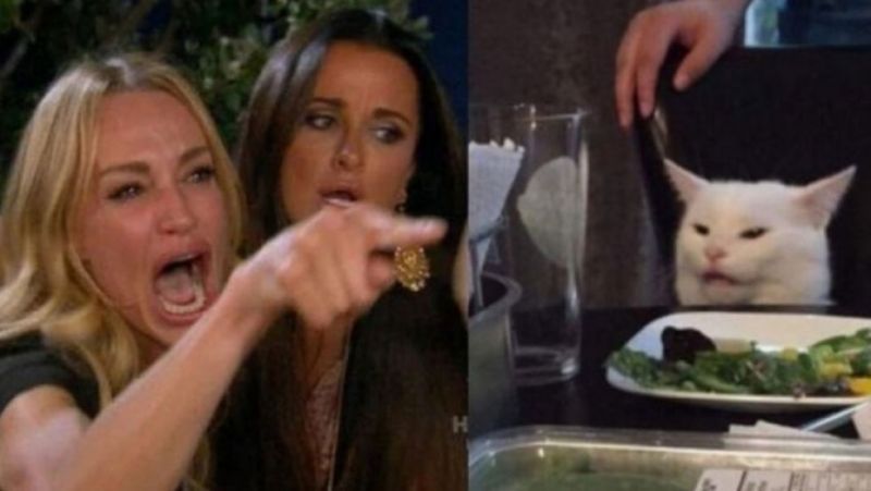 El gato y la mujer que grita