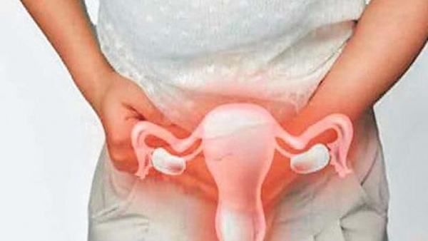 En Santiago, unas 16.000 mujeres por año se realizan estudios para detectar cáncer uterino