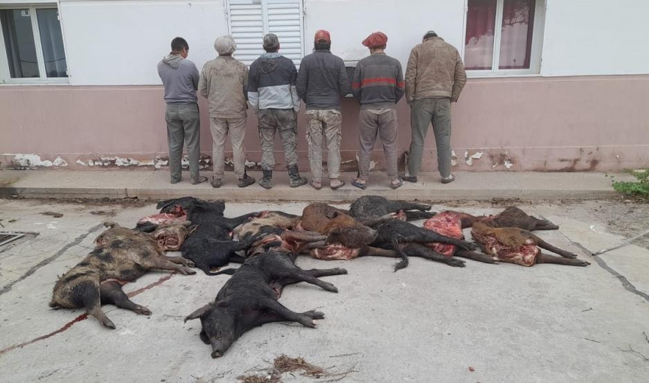 Duro golpe a cazadores furtivos en el departamento Rivadavia