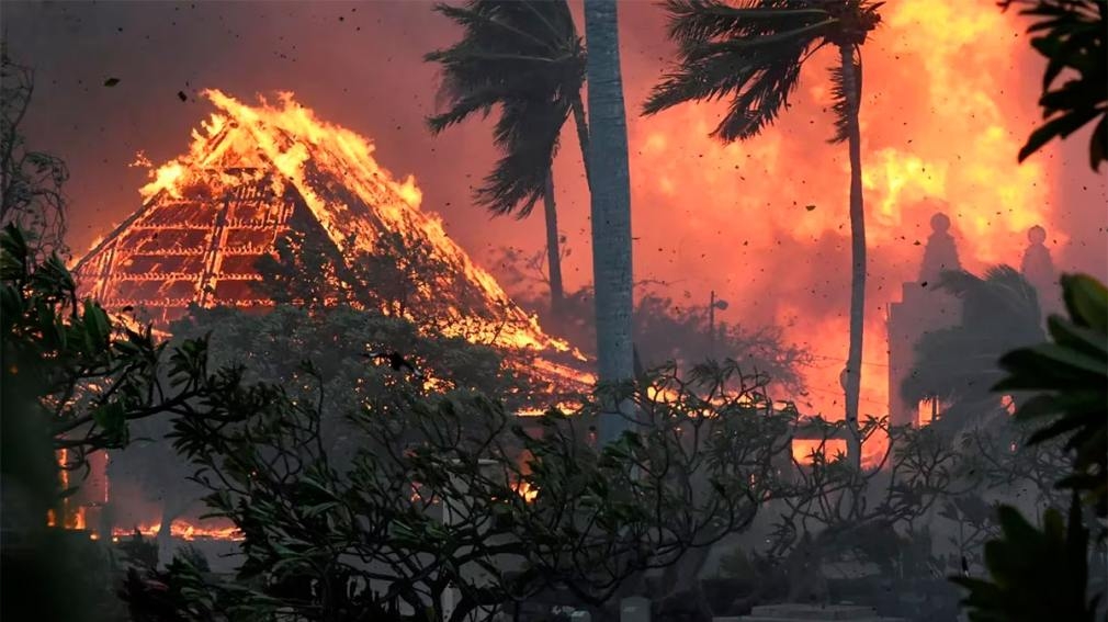 “Hay cadáveres flotando en el agua”: el escalofriante relato sobre los incendios en Hawái