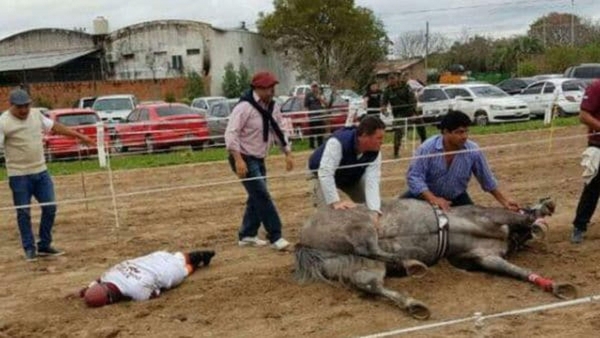 VIDEO: Murió Doña Fantasía, la yegua de José “Pepe” Sand, y hay sospecha de doping