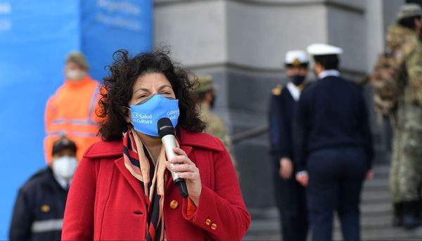 Vizzotti adelantó que “no descartan una norma” para fortalecer el programa de vacunación anti Covid