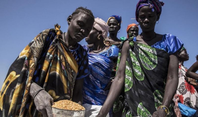 El premio Nobel de la Paz fue para el Programa Mundial de Alimentos de la ONU