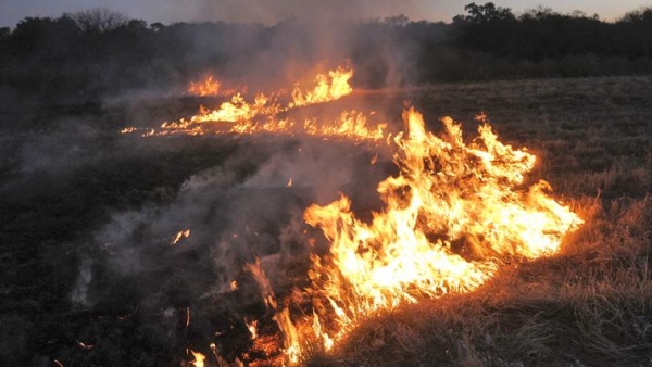 Preocupación: en la última semana se registraron más de 20 incendios