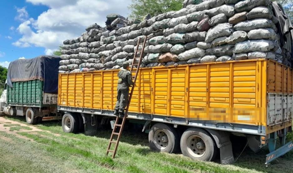 Ocultaban una carga millonaria en camiones tapados con bolsas de carbón