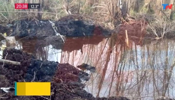 Encontraron la avioneta desaparecida sumergida en el delta del Paraná