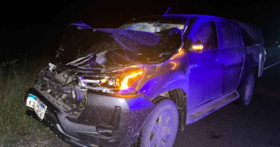 Pareja uruguaya atropelló a un caballo en la ruta 16, en El Caburé, y se salvó de milagro.