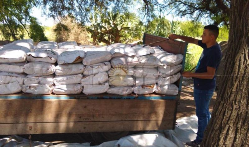Detuvieron al encargado de la finca donde robaron millonaria carga de semillas de maíz