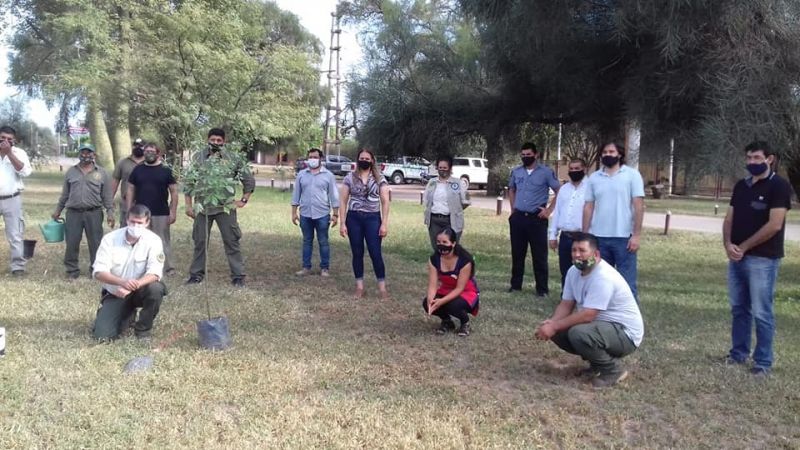 Plantaron arboles por el día de la memoria en Pampa de los Guanacos
