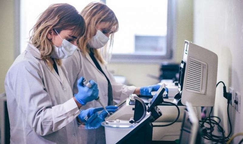 Fertilidad femenina: científicas argentinas crean una startup que podría ser un nuevo unicornio