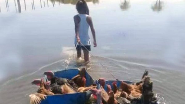 Con tan solo 8 años, tuvo que rescatar a sus animales de la inundación