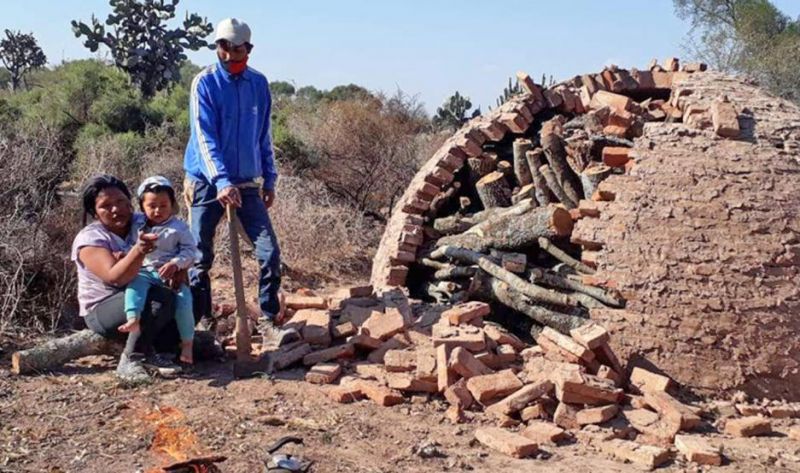 Acusan a un agente sanitario de destruir hornos y quemar carbón