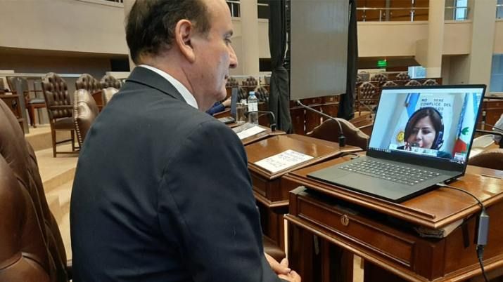 Dictamen para la creación de una bicameral que investigue posible defraudación en el caso Vicentin