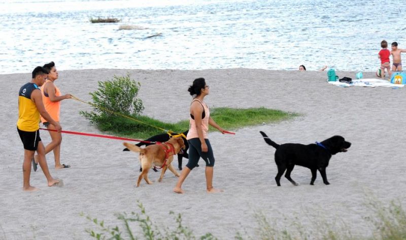 ¿Habrá temperaturas de 40 grados en otoño?: qué dicen expertos en meteorología