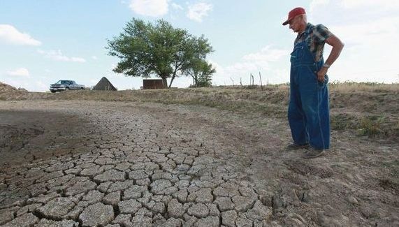 El Chaco salteño sufre la peor sequía de los últimos 40 años