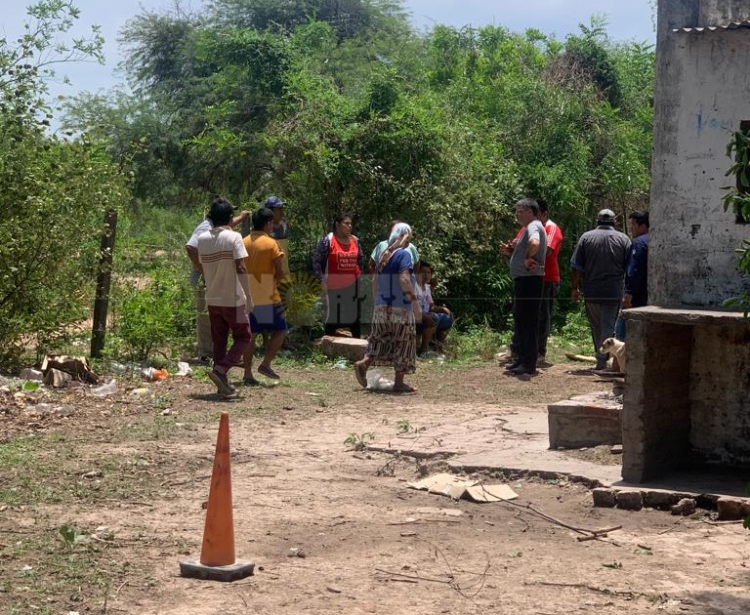 Tragedia en una escuela de Pompeya: murió una nena al caer de un árbol