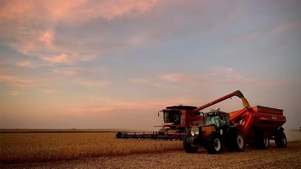 Santiago del Estero, la nueva joya productiva: logró quedar tercera en producción de maíz y cuarta en soja a nivel país