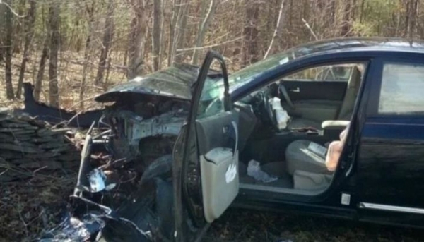 Entró en pánico por una araña y estrelló su auto contra un árbol