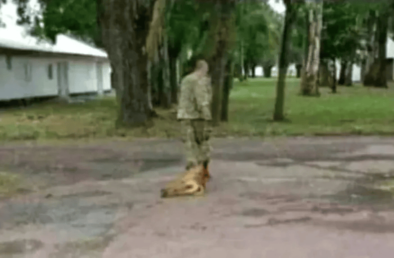 Encontraron muerto al militar que torturó y asesinó a un perro