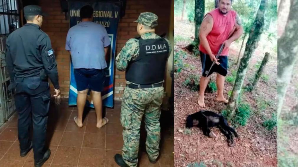 Mató a un mono y lo publicó en redes sociales: podría recibir una multa de 10 millones de pesos