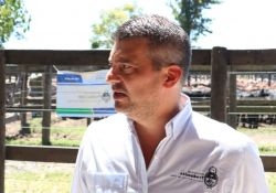 Quedan soja, maíz y algodón, que se pueden cosechar si se logra estabilidad climática en Chaco