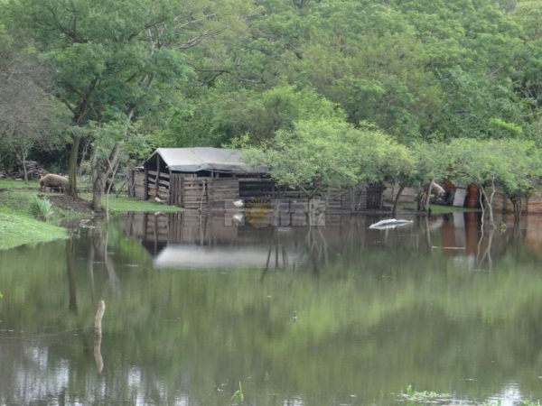 Crece el Paraná y llega al nivel de alerta