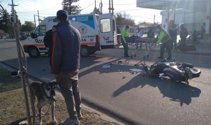 Insólito: un Boxer tiró de la correa, hizo entrar a la calle su dueño, que murió atropellado por una moto