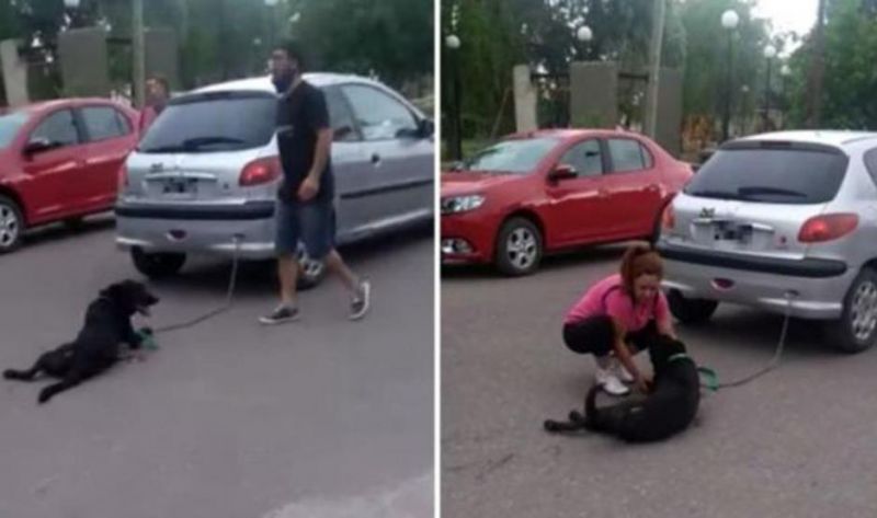 Una maestra encadenó a su perro al auto y lo arrastró siete cuadras