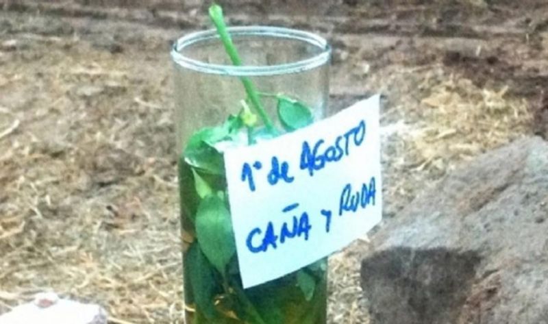 Mañana, los santiagueños “renovarán” energías con el habitual té de ruda