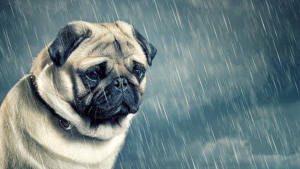 Rige alerta por tormentas y vientos fuertes para Santiago