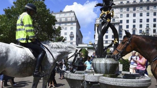 Ola de calor en Europa: la más caliente de los últimos 260 años