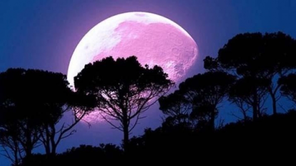 Esta noche la Luna Rosa influirá en tu plano amoroso