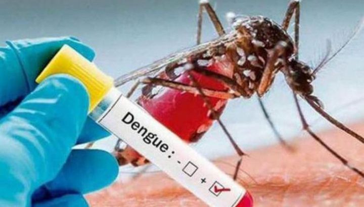 El 86% de los argentinos dice estar preocupado por el dengue