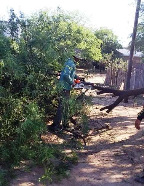 La Comuna pampeña realiza mantenimiento luego del viento fuerte