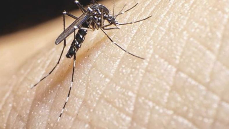 Rosario confirmó el primer caso de dengue importado