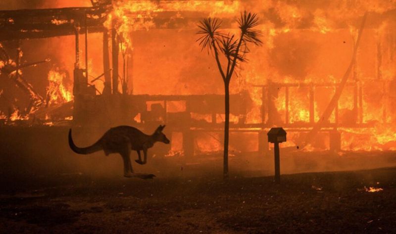 Por los incendios en Australia, el humo llegaría a la Argentina la próxima semana