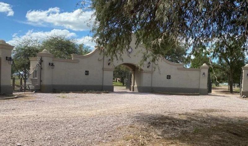 Encontraron 200 vacunos robados en un campo de un hijo de Alperovich