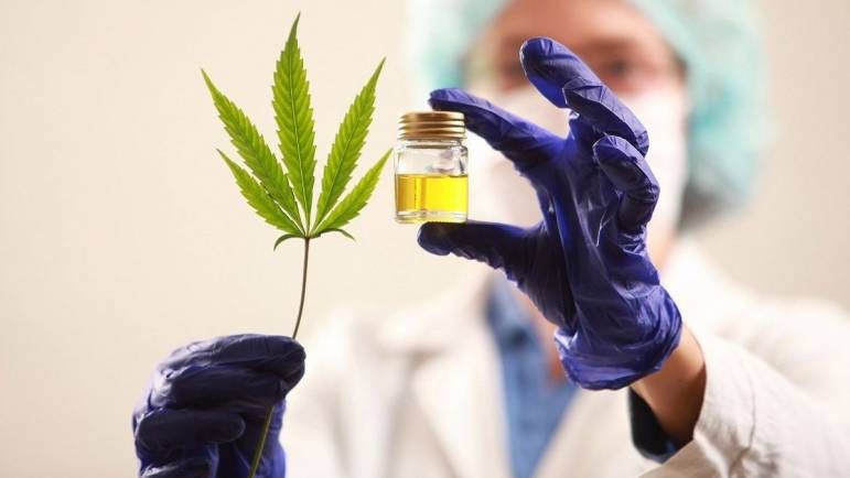 Chaco será sede, por primera vez, de la Expo Industria Cannabis y Cáñamo
