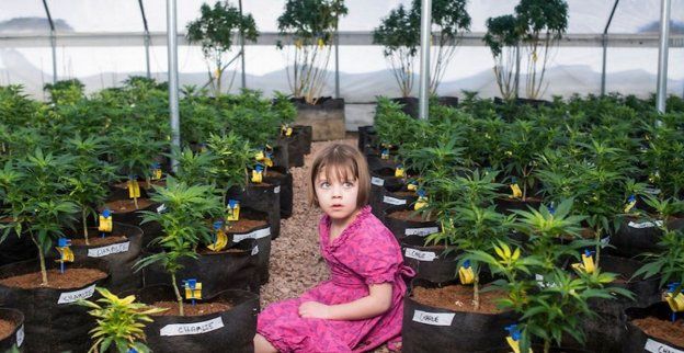 A los 13 años, murió de coronavirus la niña que inspiró el aceite de cannabis ‘Charlotte‘