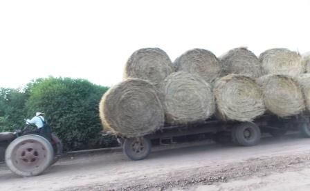 El agro marcó un récord histórico: ingresaron 16.600 millones de dólares