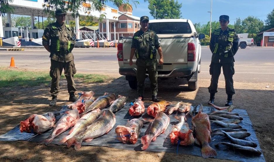Incautan una nutrida cantidad de pescados transportados en infracción a la Ley de Pesca